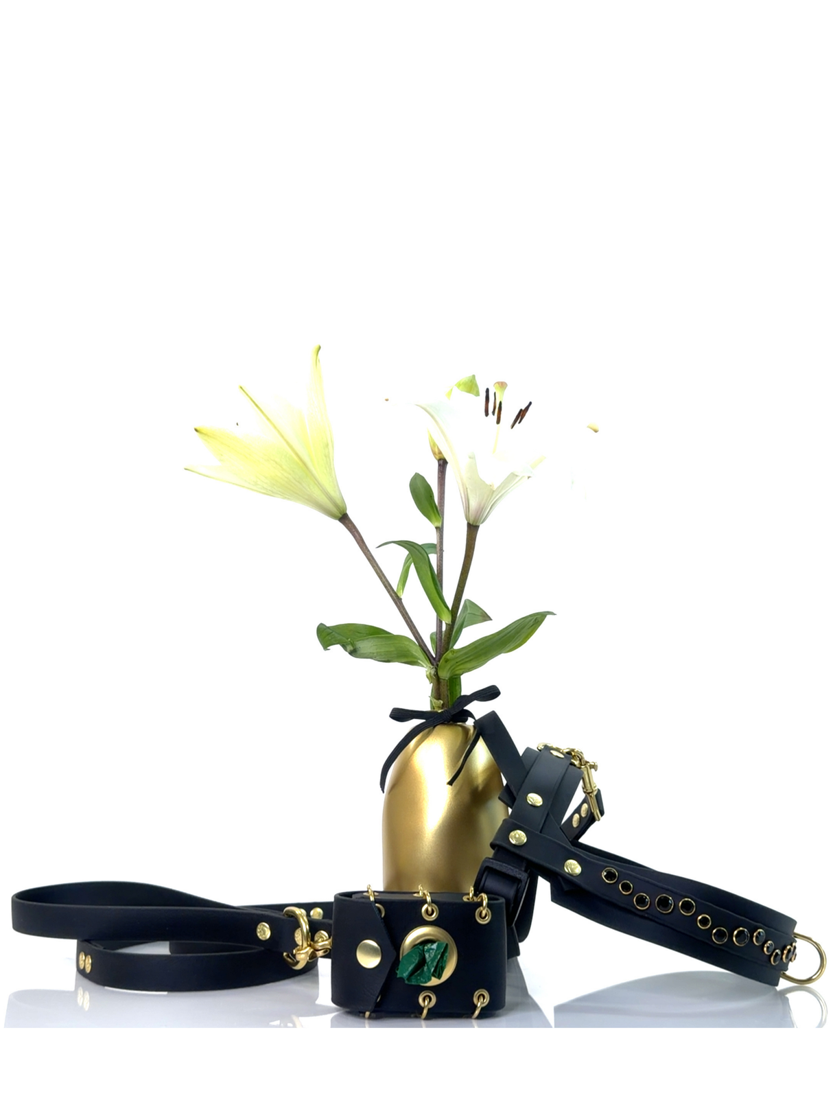 New Look Bundle | Noir Luxe