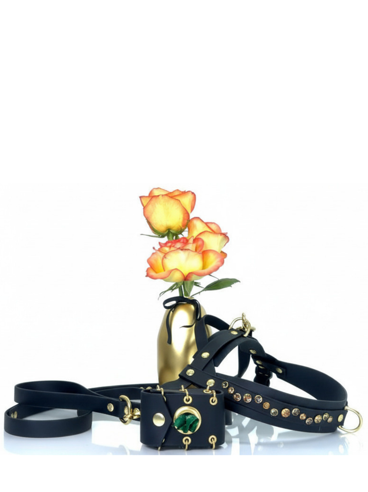 New Look Bundle | Golden Hour