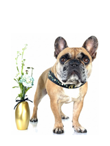 Dog Harness | Coastal Calm