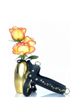 Dog Harness | Golden Hour