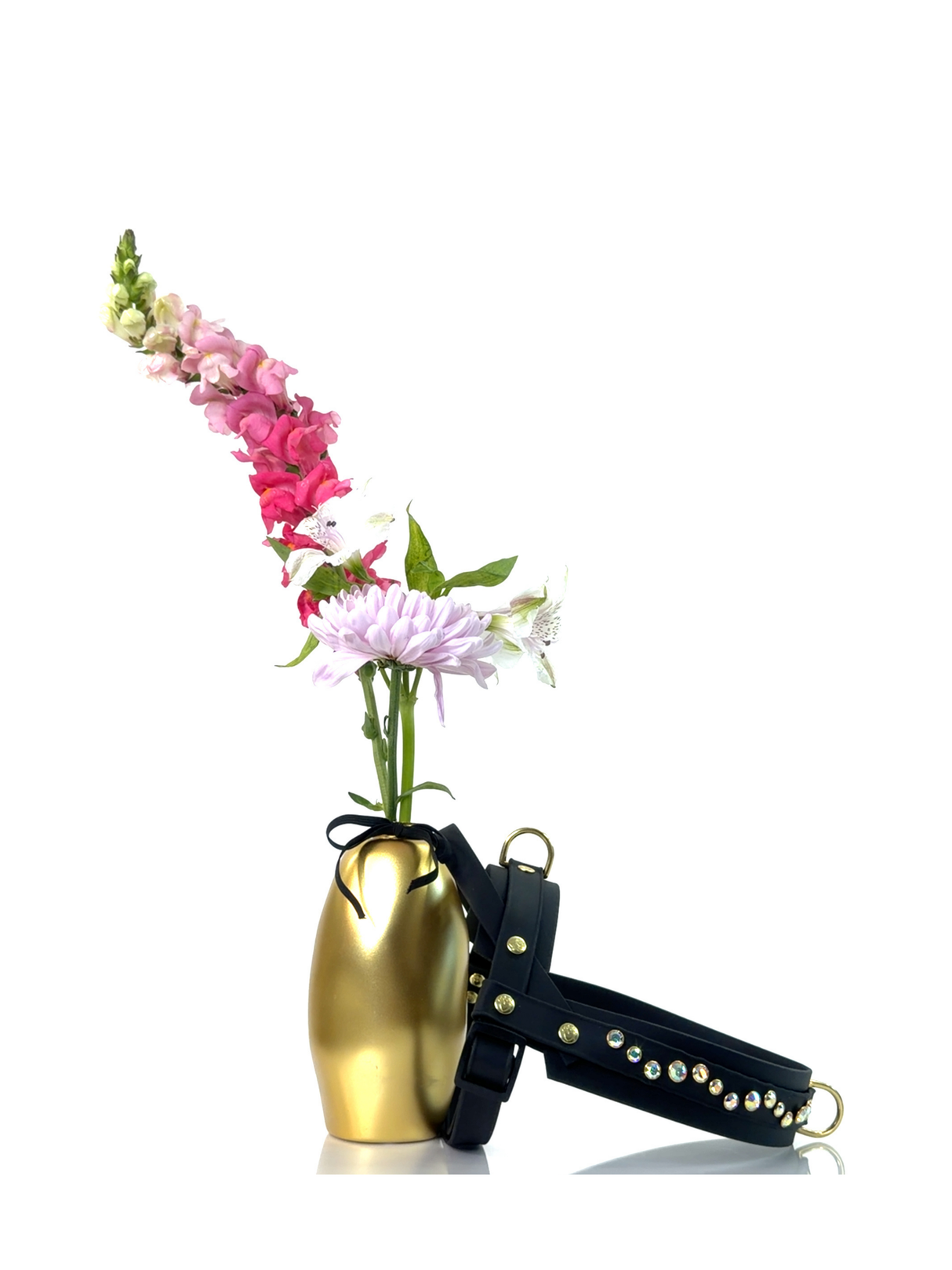 Dog Harness | Iridescence