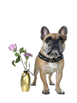 Dog Harness | Wild Orchid