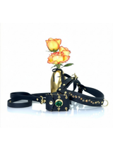 New Look Bundle | Golden Hour