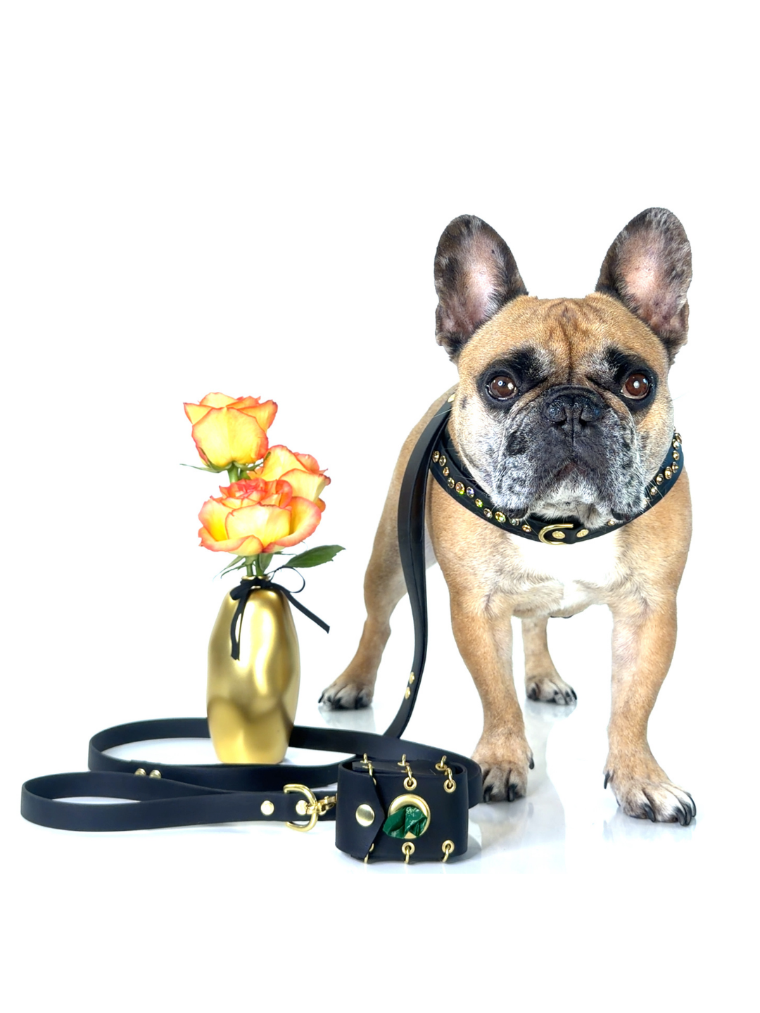 New Look Bundle | Golden Hour