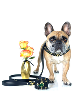 New Look Bundle | Golden Hour