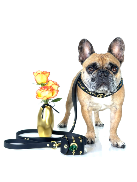 New Look Bundle | Golden Hour