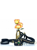 New Look Bundle | Golden Hour