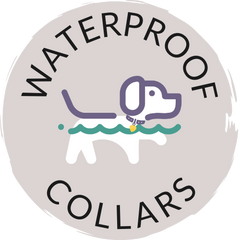 WATERPROOF DOG COLLARS DOG SWIMMING IN WATER WHILE WEARING A DOG COLLAR