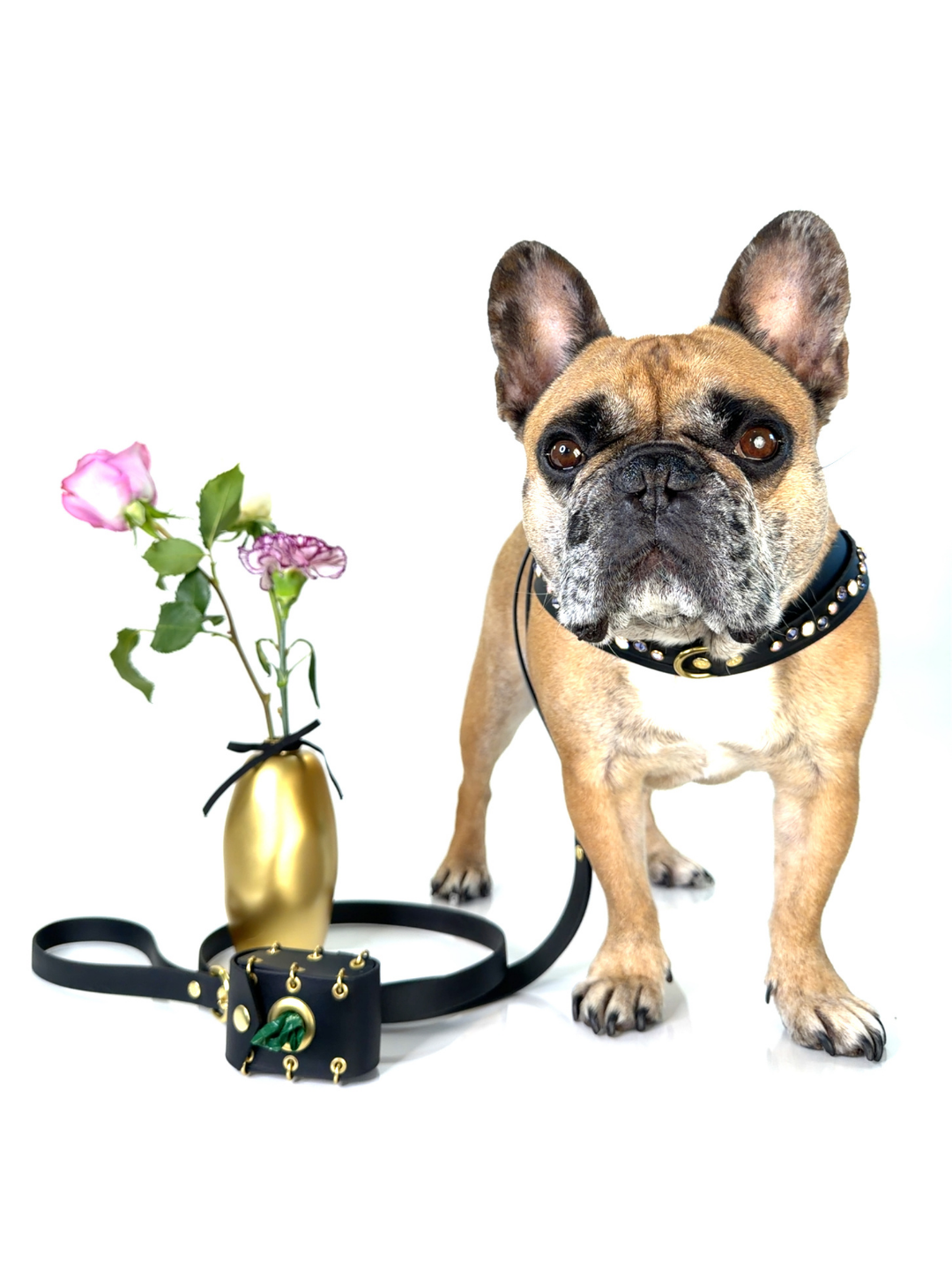 New Look Bundle | Wild Orchid