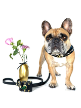 New Look Bundle | Wild Orchid