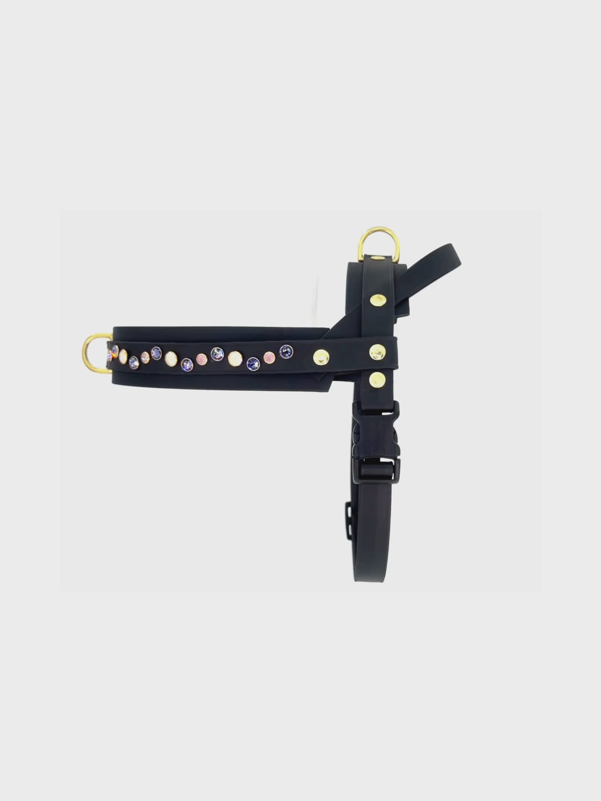Dog Harness | Wild Orchid