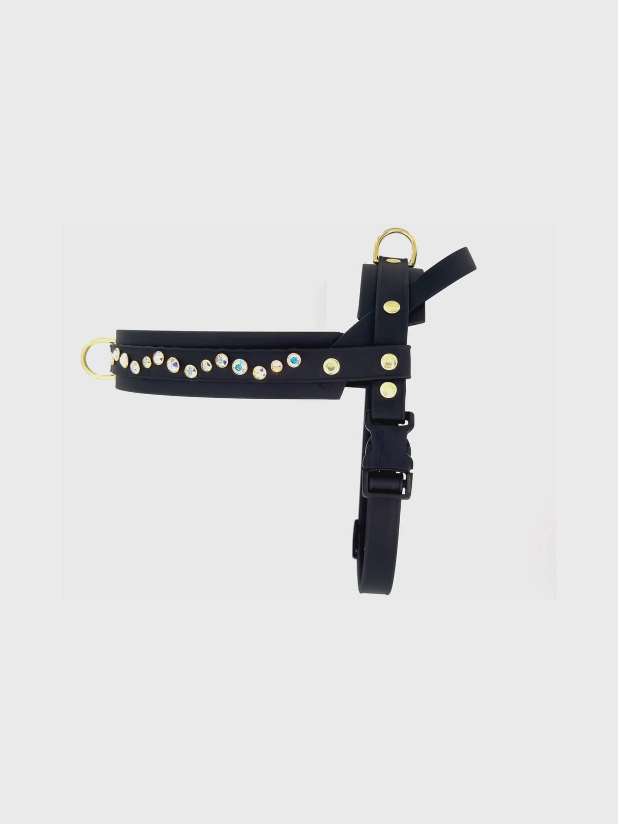 Dog Harness | Iridescence