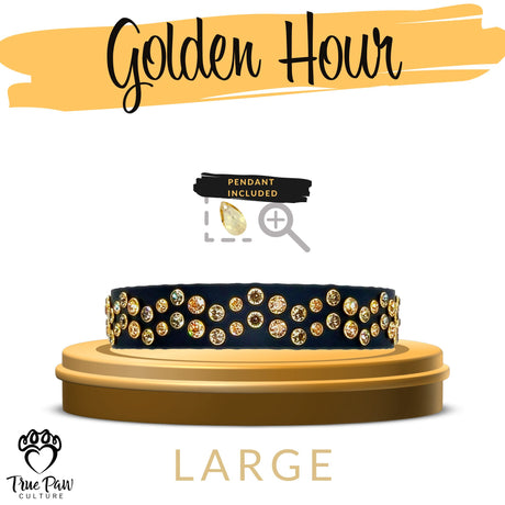 Golden Hour | Luxe | Single Strap Buckle Collar