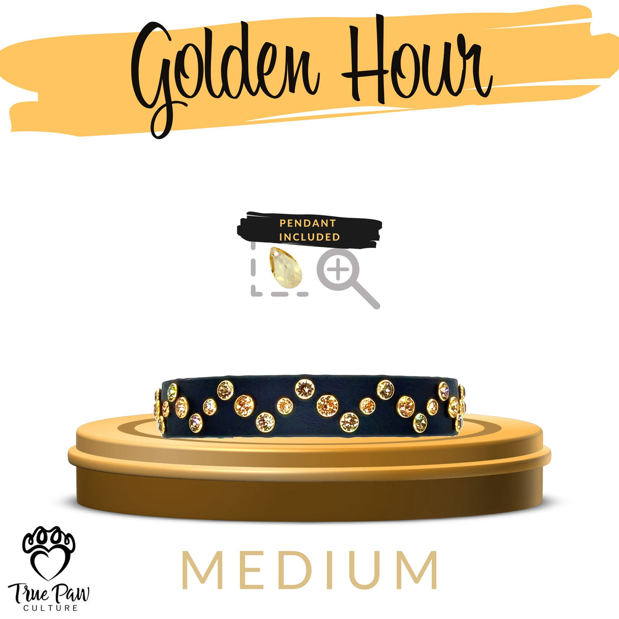 Golden Hour | Luxe | Single Strap Buckle Collar
