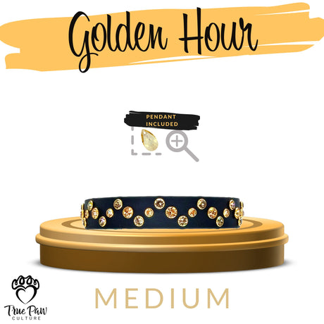 Golden Hour | Luxe | Single Strap Buckle Collar