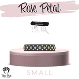 Rose Petal | Decadence | Single Strap Buckle Collar