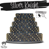 Silver Knight | Radiance | Single Strap Buckle Collar