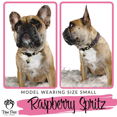 Raspberry Spritz | Superfluous | Double Strap Buckle Collar